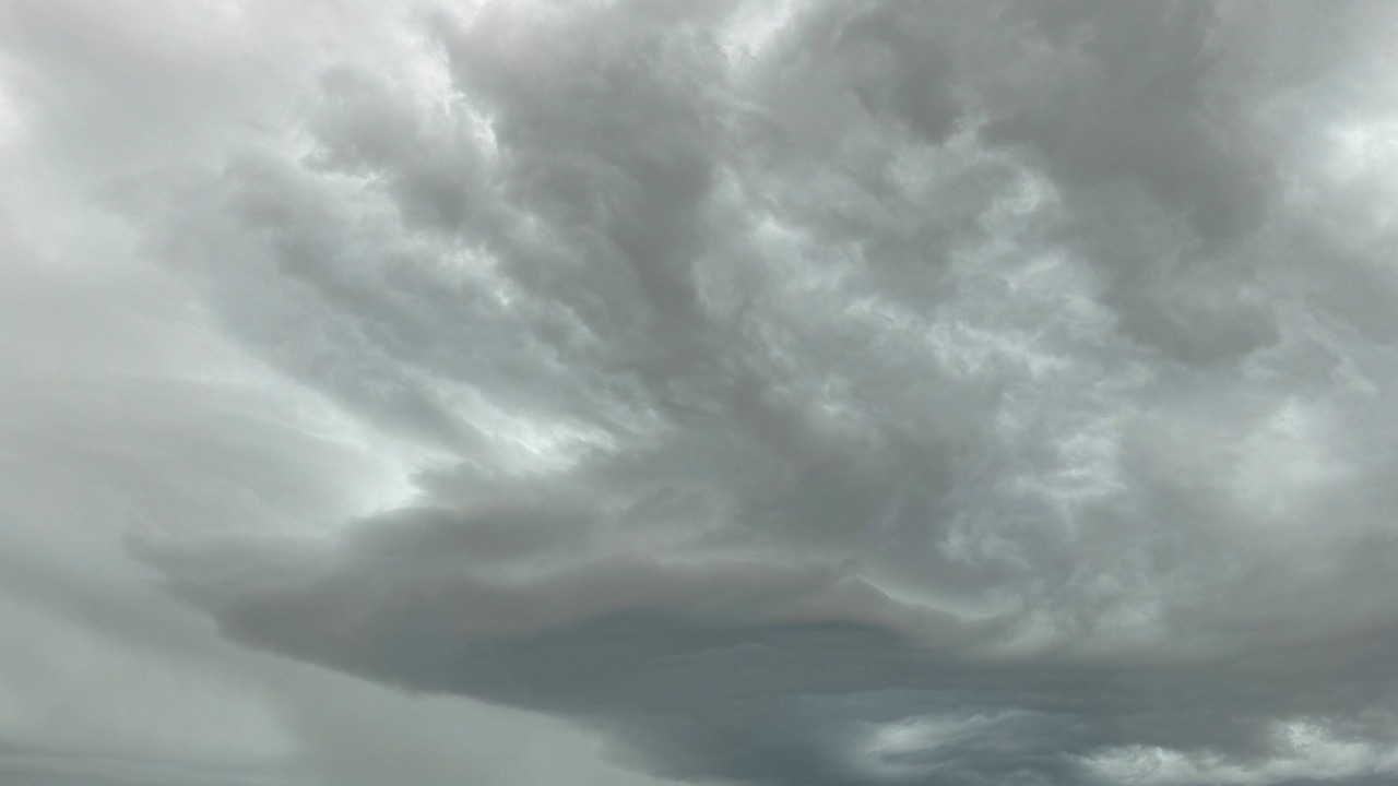 Photo of Others in Buffalo