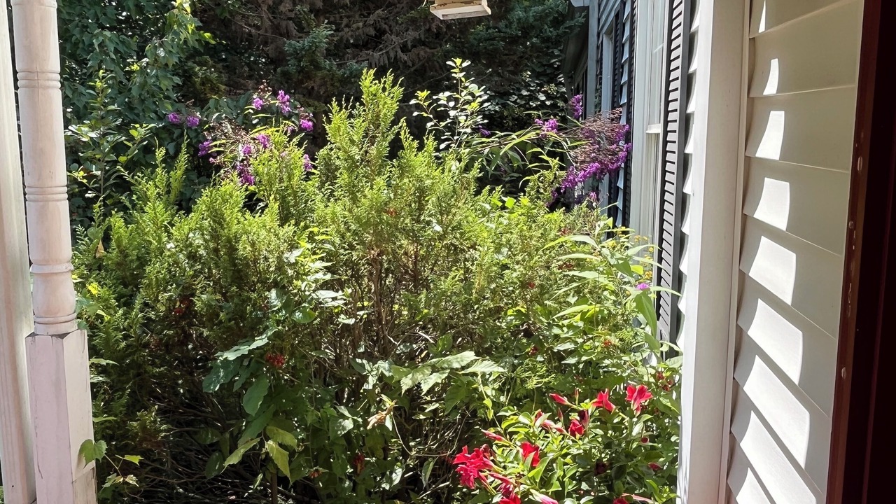 Photo of Outdoor in Moreland Hills