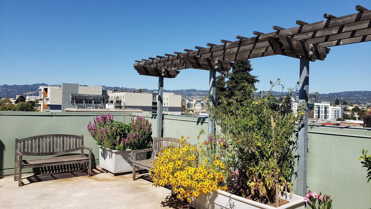 Photo of Patio Balcony in Pill Hill