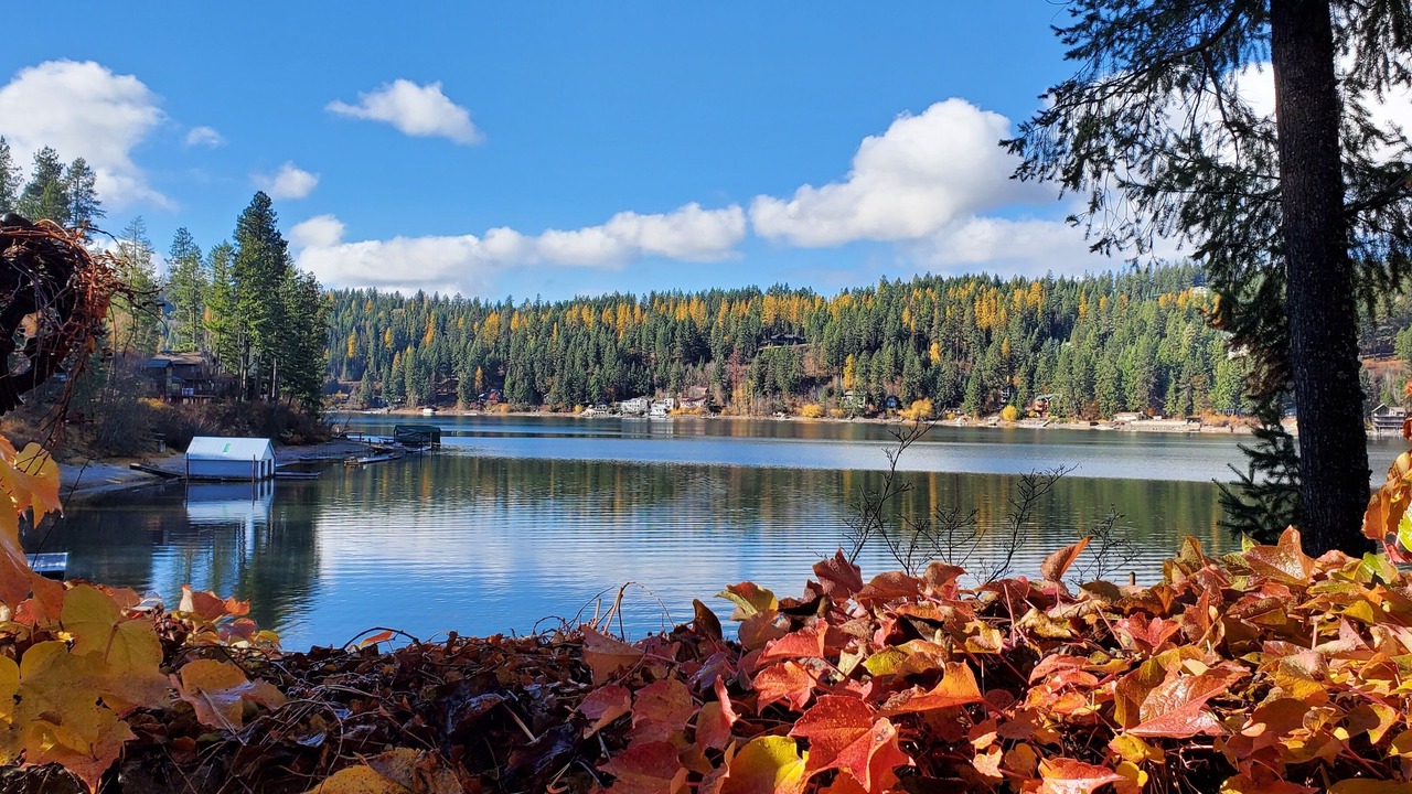 Photo of Outdoor in English point
