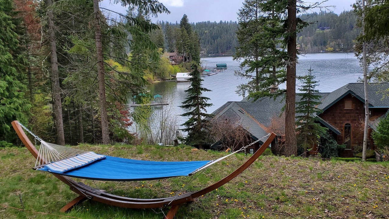 Photo of Outdoor in English point