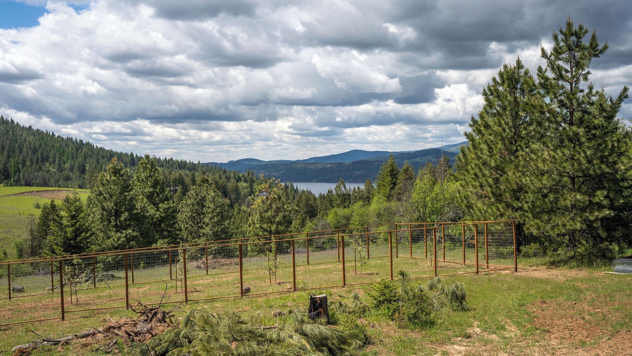 Photo of Outdoor in Harrison