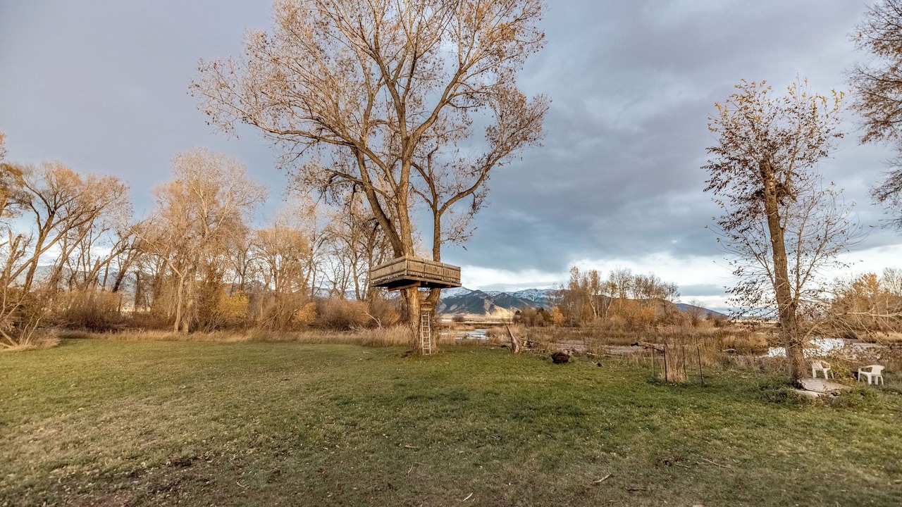 Photo of Others in Bozeman