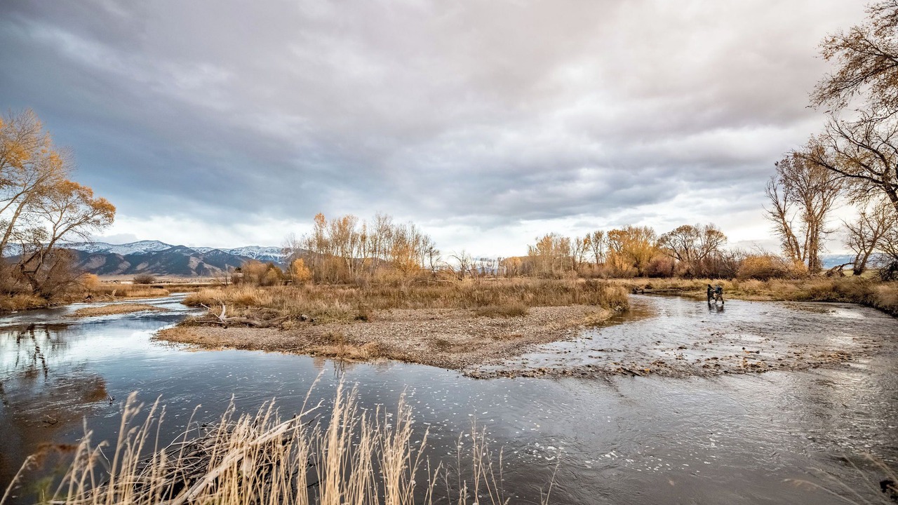 Photo of Others in Bozeman