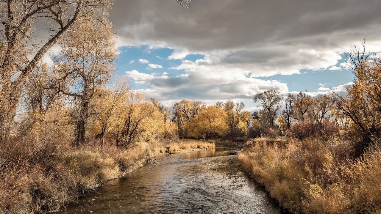 Photo of Others in Bozeman