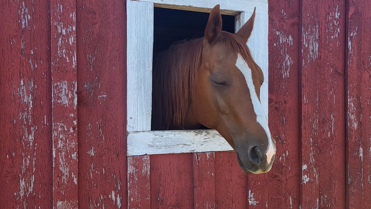 Photo of Outdoor in Eureka