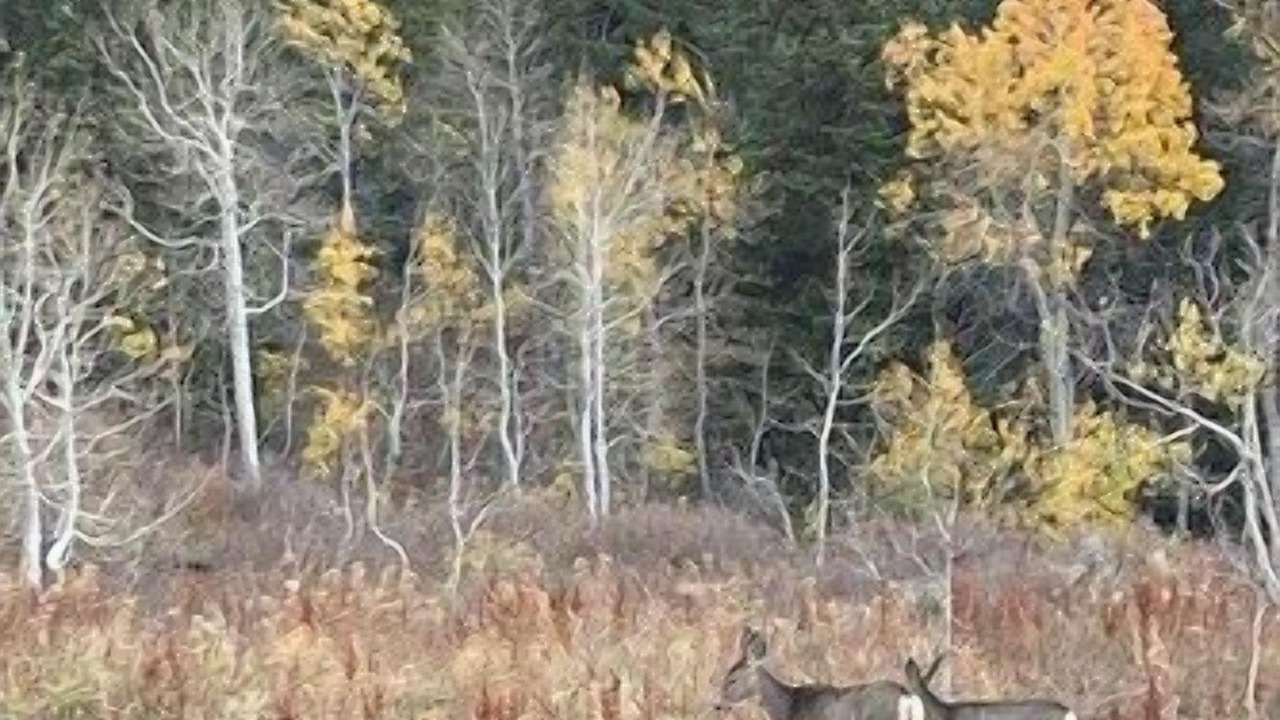 Photo of Others in Powder Mountain