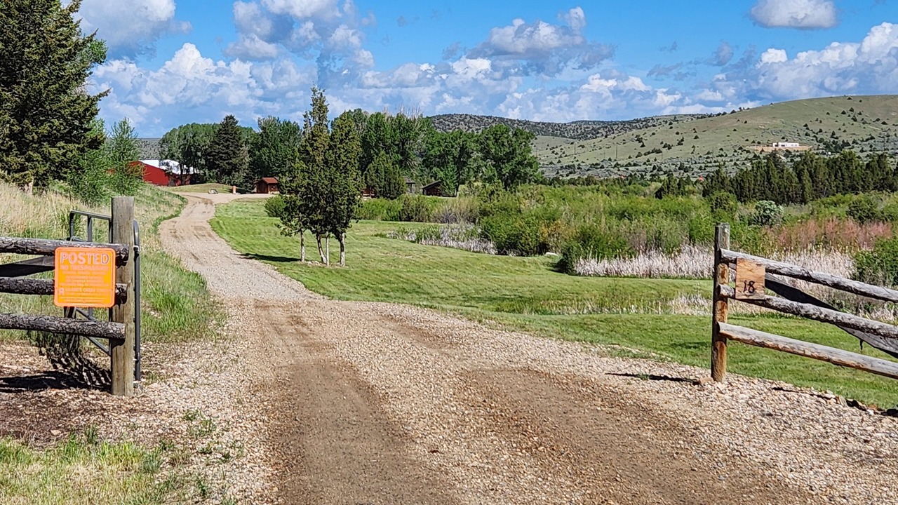 Photo of Outdoor in Alder