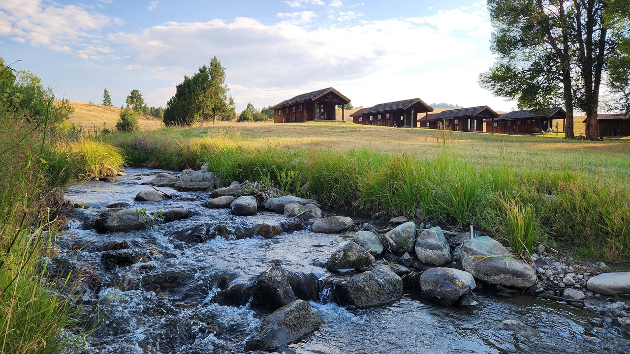 Photo of Outdoor in Alder