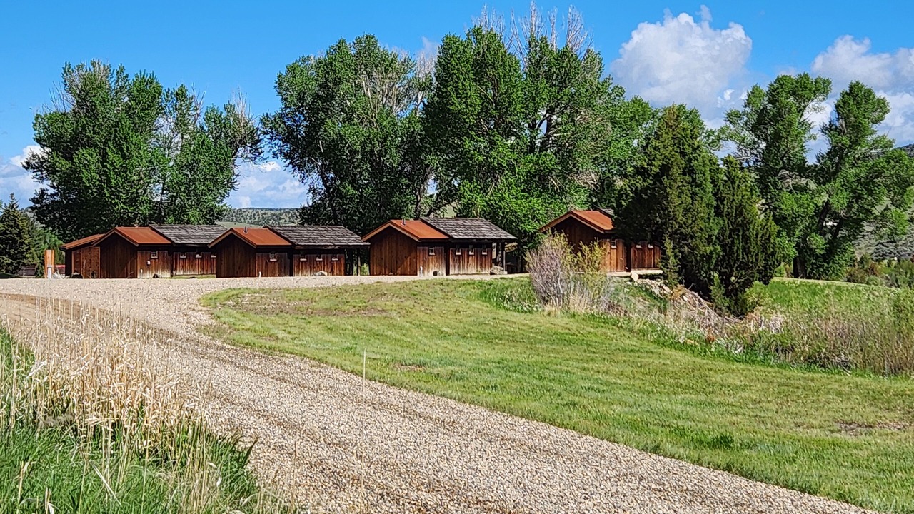 Photo of Outdoor in Alder