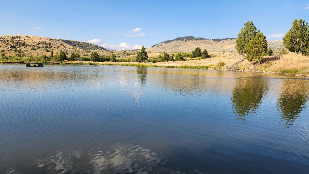 Photo of Outdoor in Alder
