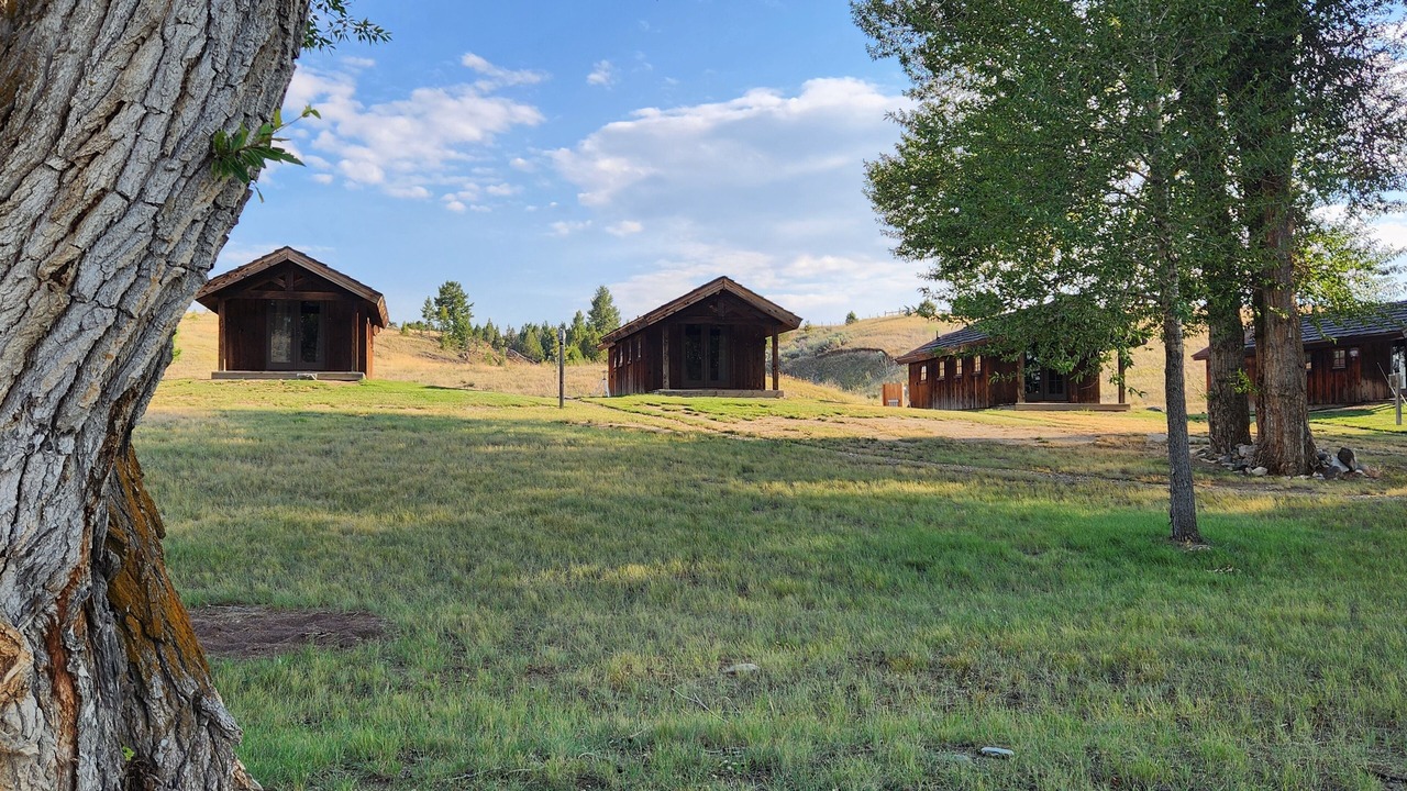 Photo of Outdoor in Alder