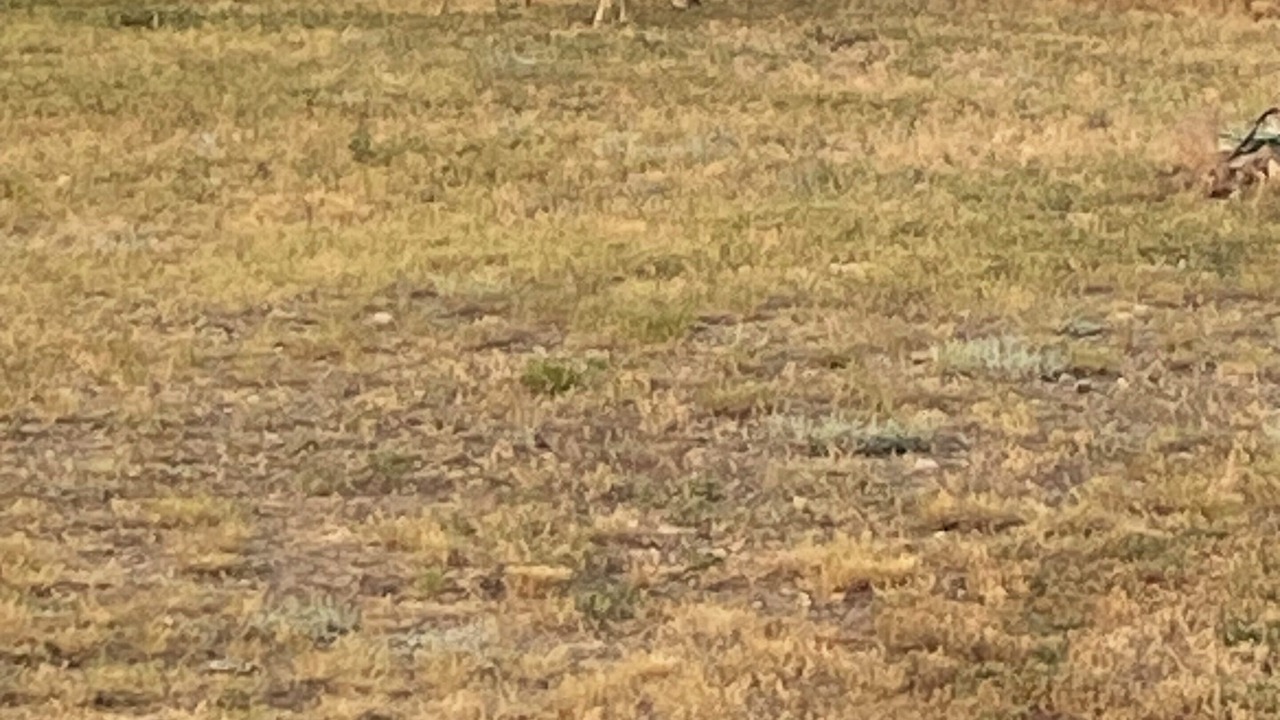 Photo of Outdoor in Whitehall