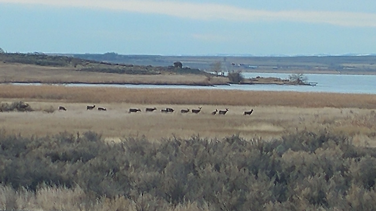Photo of Others in Saint Stephens