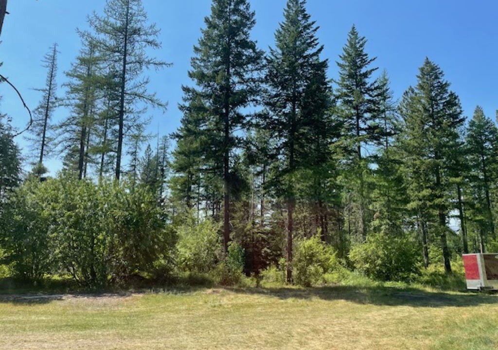 Photo of Outdoor in Polson