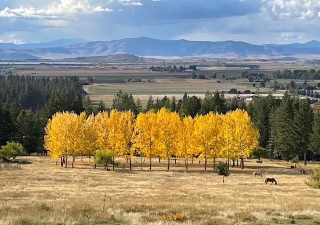 Photo of Others in Polson