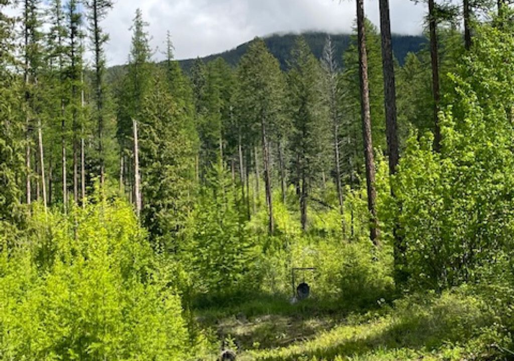 Photo of Others in Polson