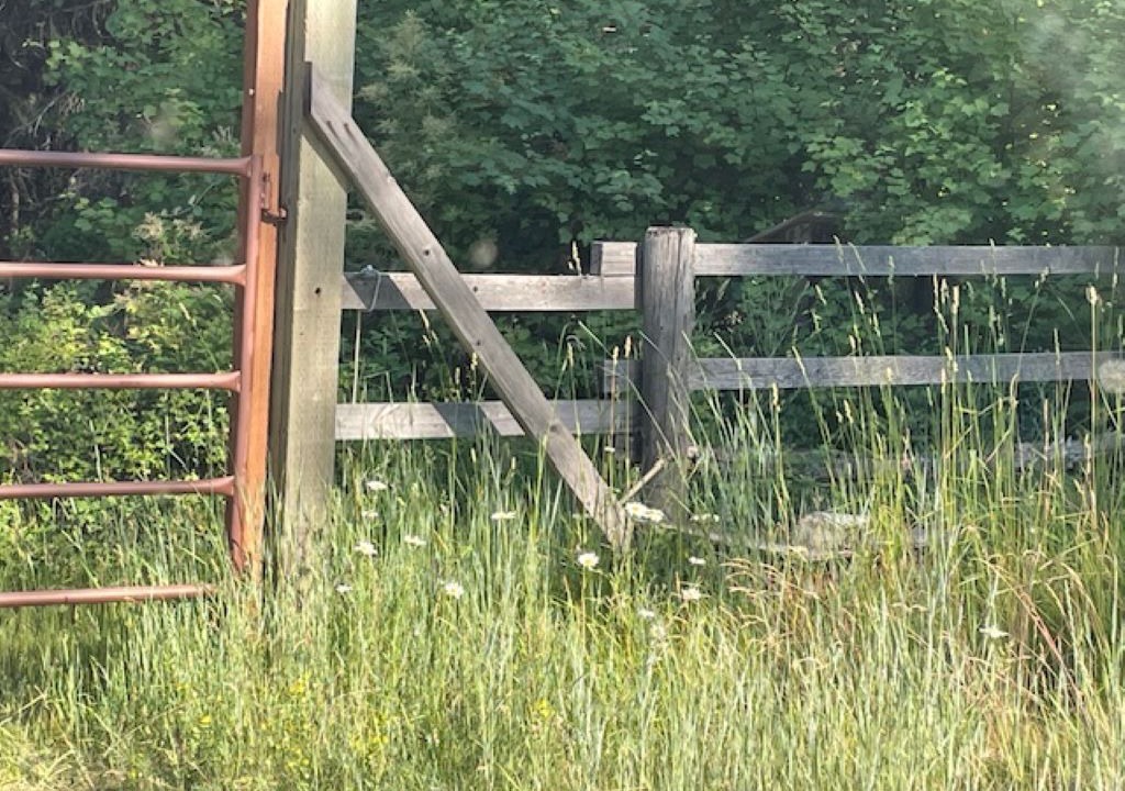 Photo of Outdoor in Polson