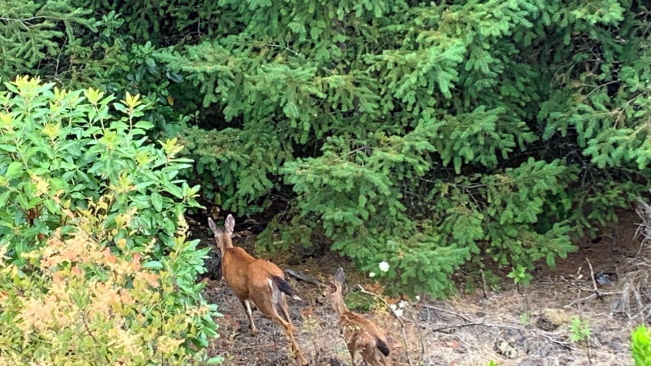 Photo of Outdoor in Neighbors Southwest