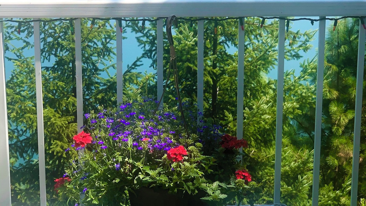 Photo of Outdoor in Neighbors Southwest