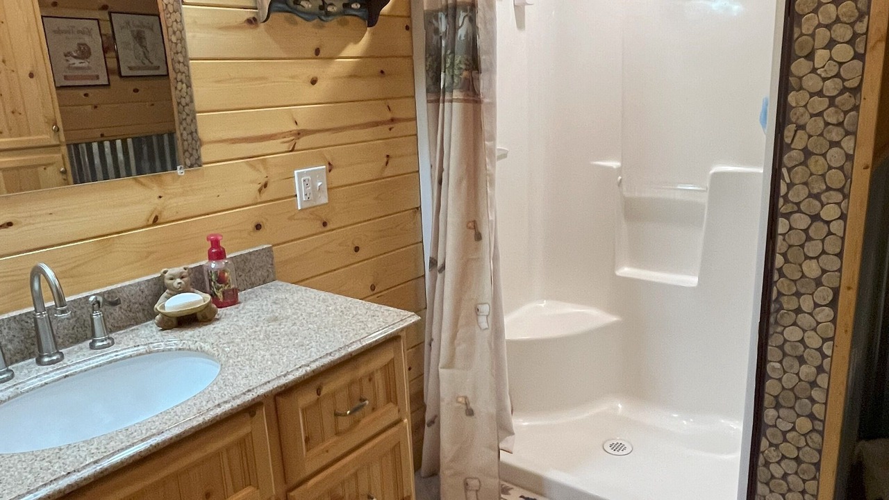 Photo of Bathroom in Island Park