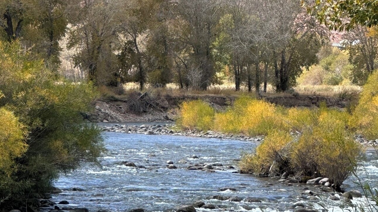 Photo of Others in Dubois