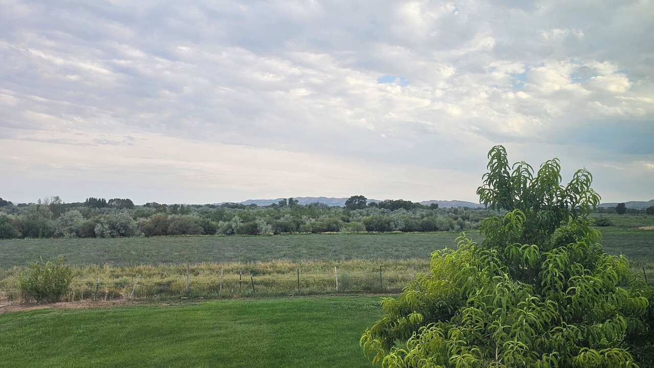 Photo of Outdoor in Lapoint