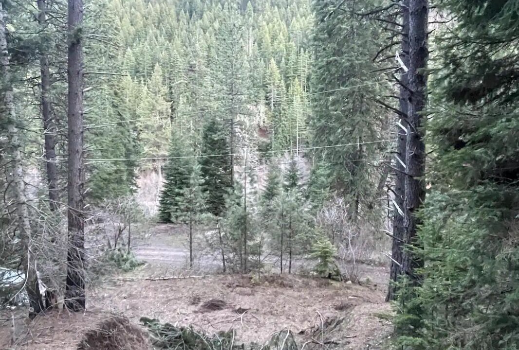 Photo of Others in New Meadows