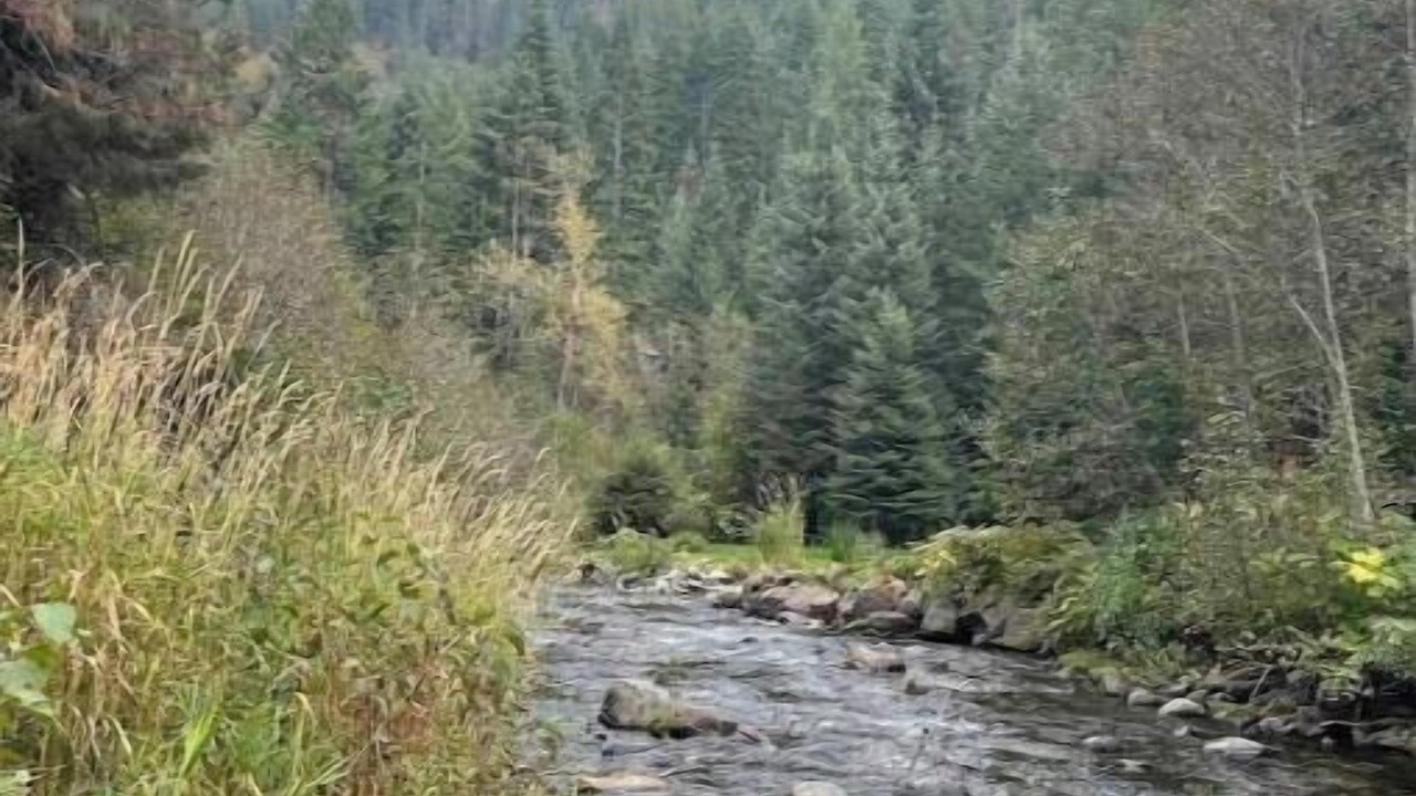 Photo of Outdoor in New Meadows