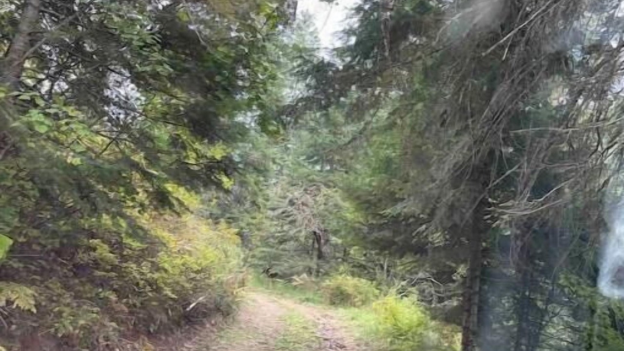 Photo of Others in New Meadows