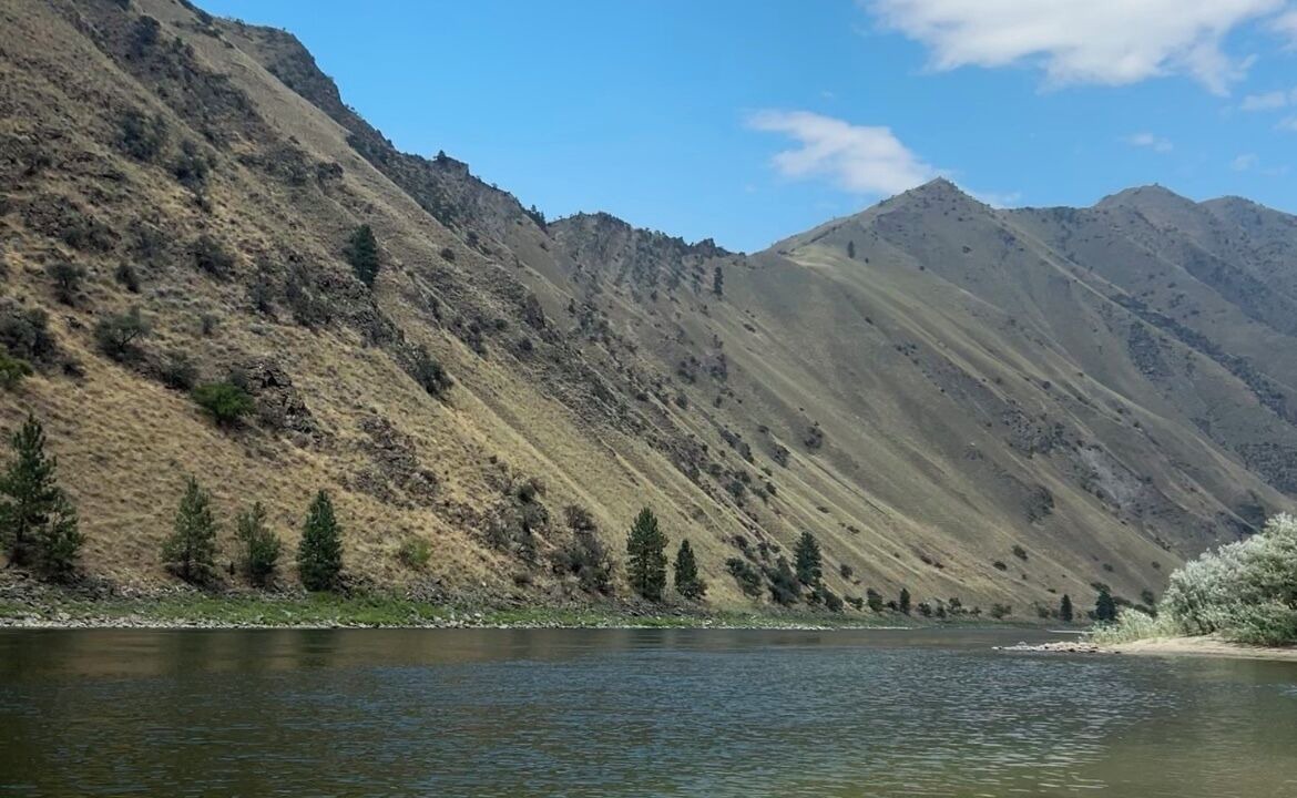 Photo of Others in New Meadows