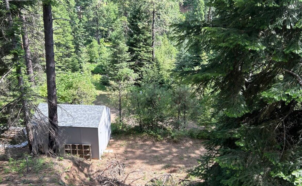 Photo of Outdoor in New Meadows