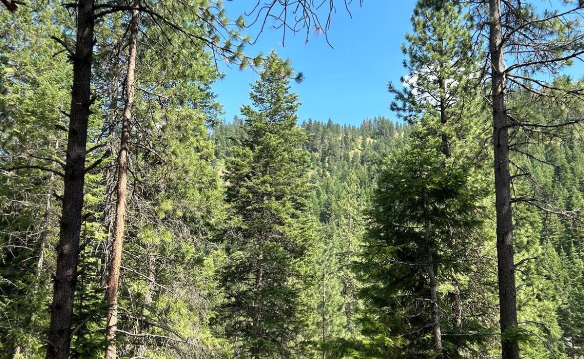 Photo of Others in New Meadows