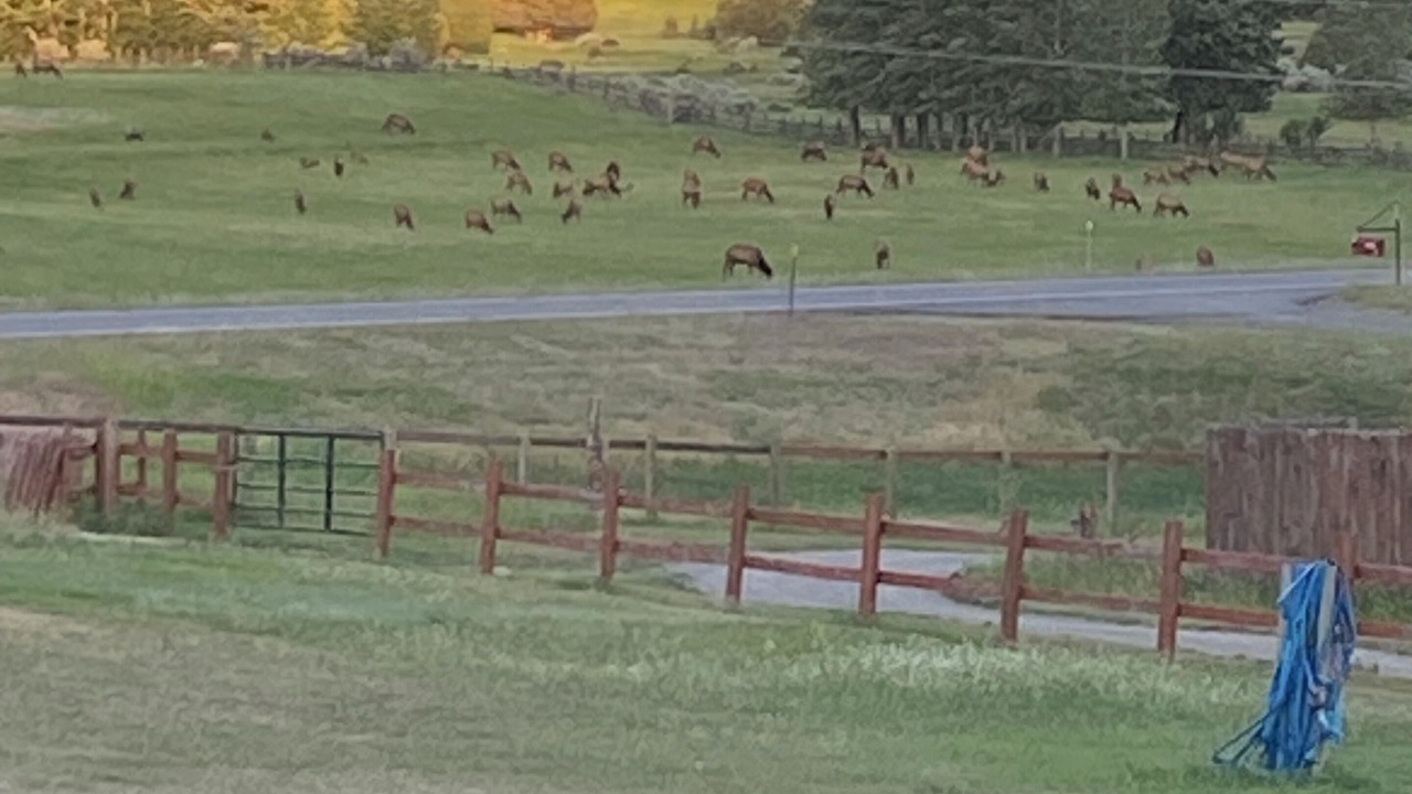 Photo of Others in Gardiner