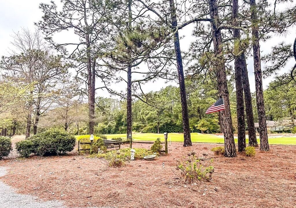 Photo of Outdoor in Southern Pines