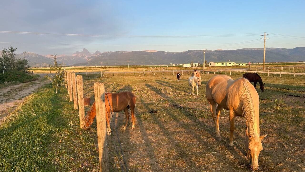 Photo of Others in Tetonia