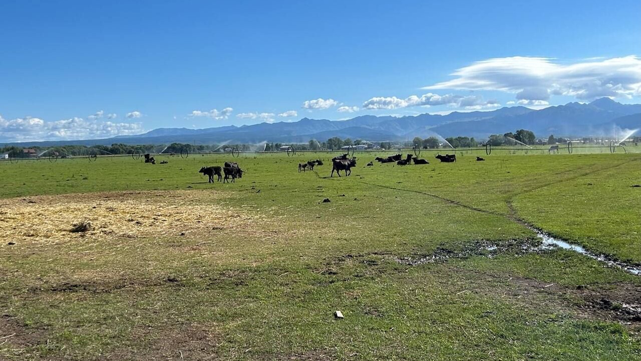 Photo of Outdoor in Tetonia