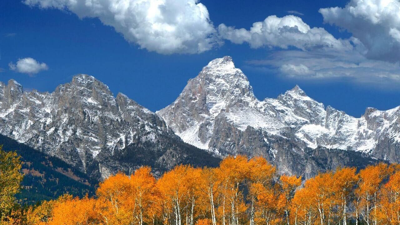 Photo of Others in Tetonia