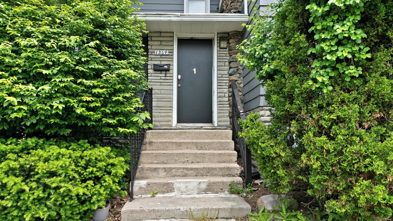 Photo of Outdoor in Berkley