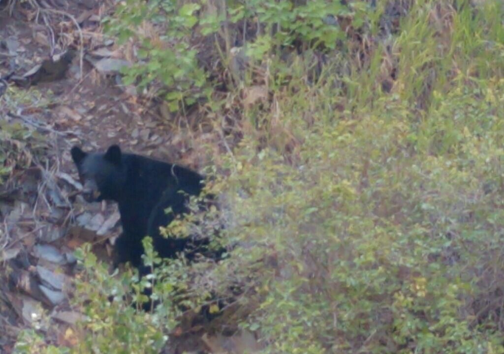 Photo of Others in Broadwater County