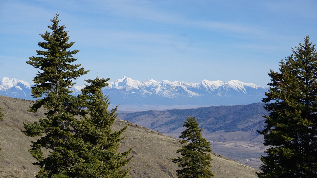 Photo of Others in Glacier Country
