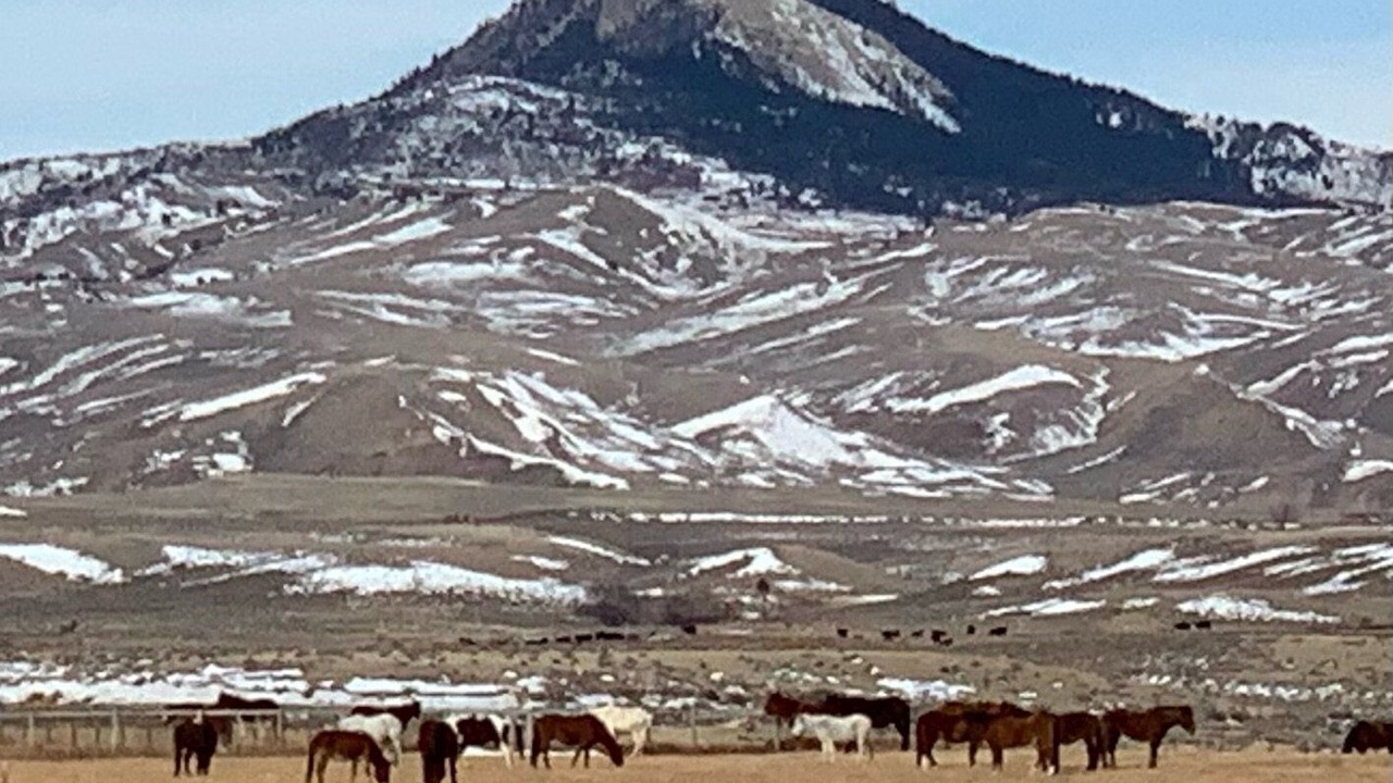 Photo of Others in Cody
