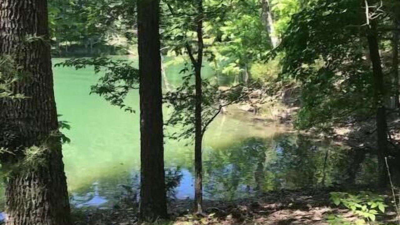 Photo of Outdoor in Rogers