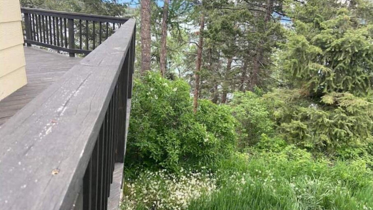 Photo of Outdoor in Somers