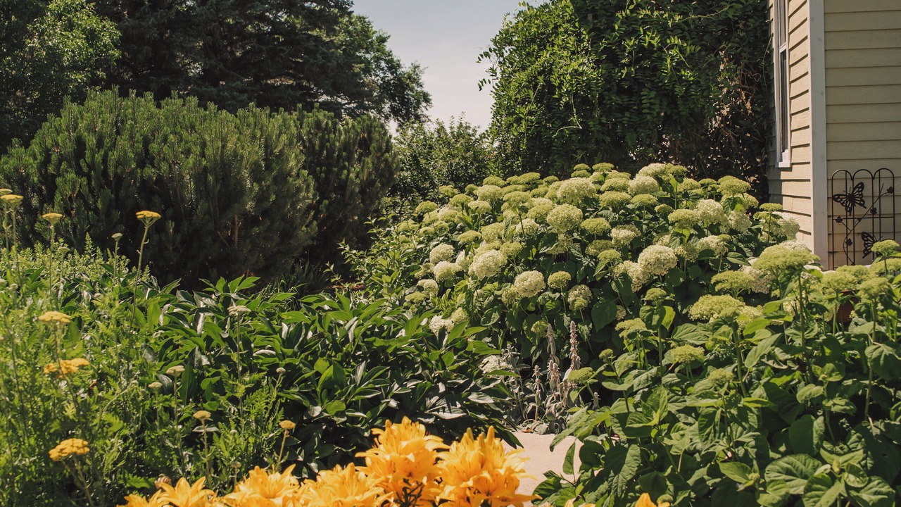 Photo of Outdoor in Cummings