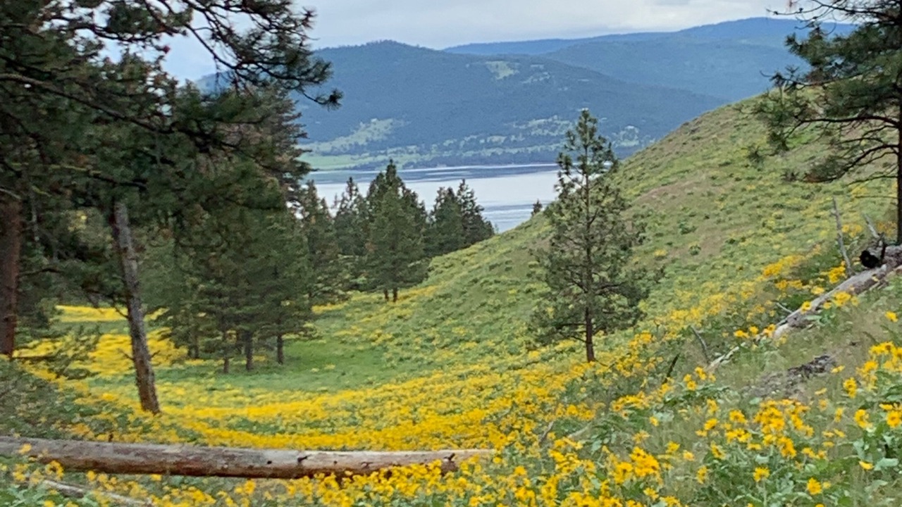 Photo of Others in Kalispell