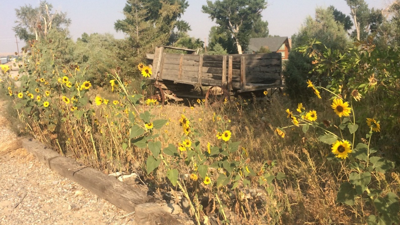 Photo of Outdoor in Worland