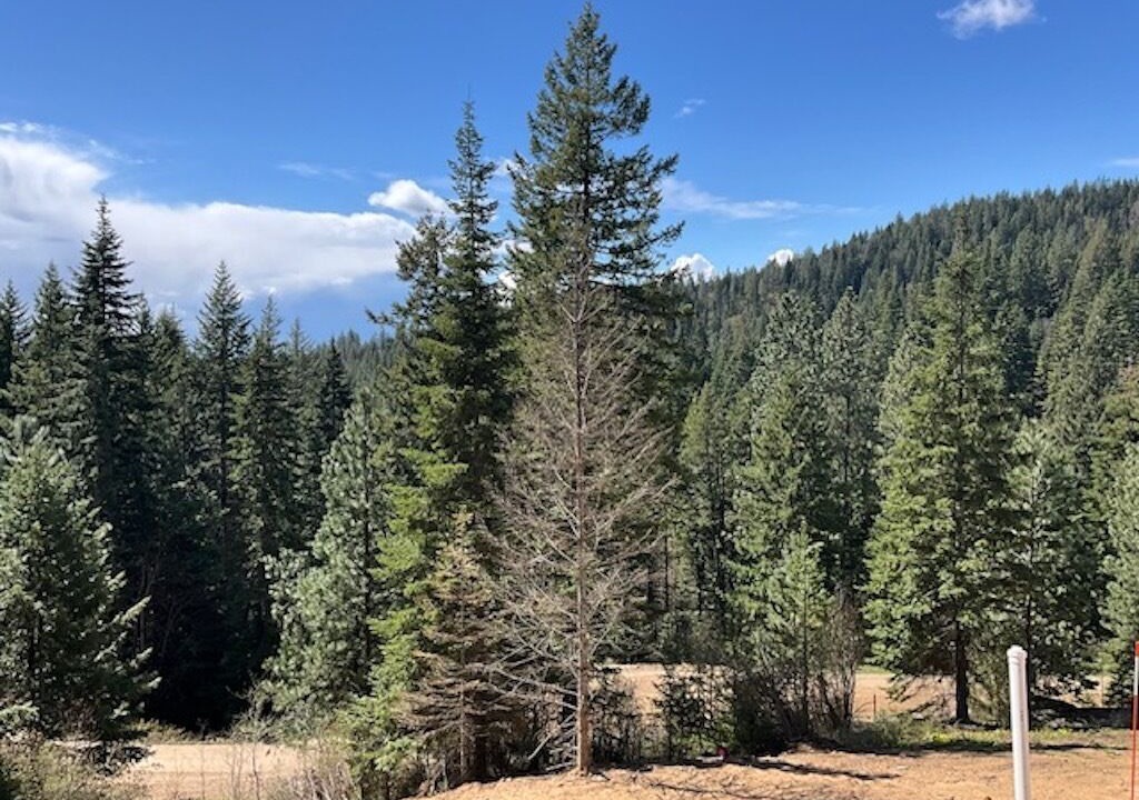 Photo of Outdoor in Rathdrum