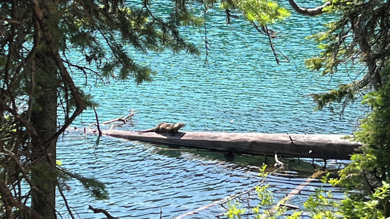 Photo of Outdoor in Eureka