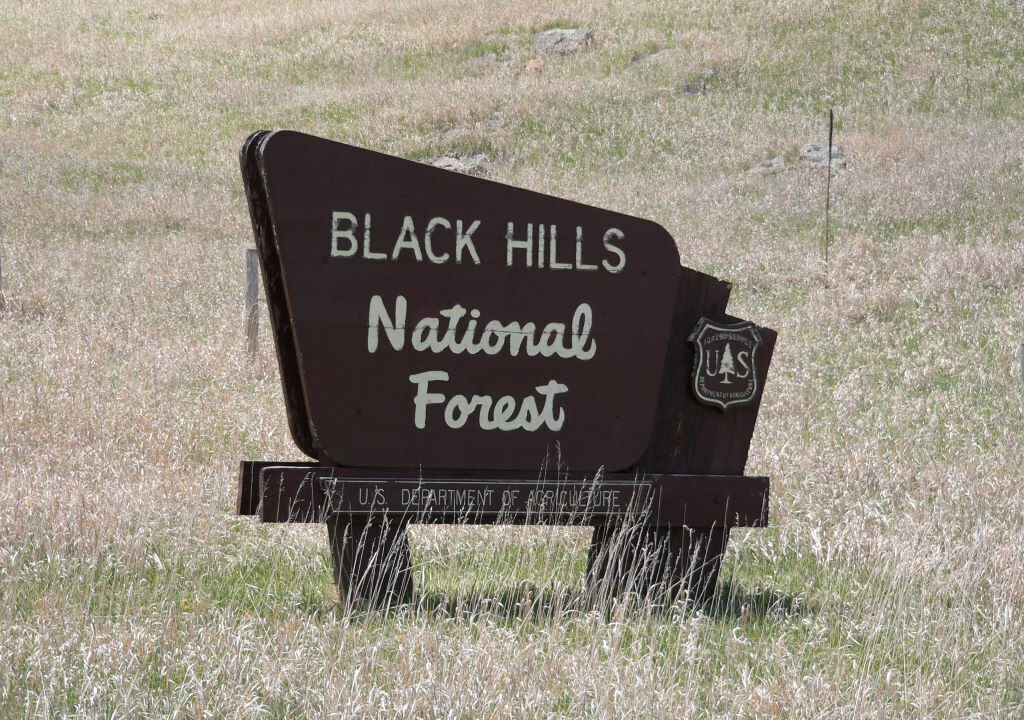 Photo of Outdoor in Custer